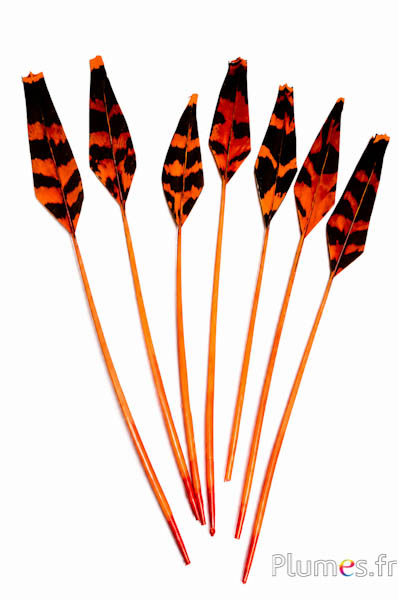 Auerhoen pijl - 19-21 cm - oranje-koffie